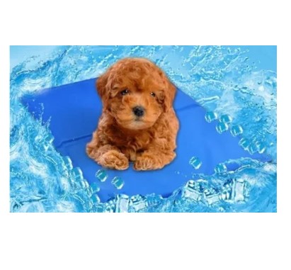 Manta Refrigerante para Mascotas Pet Cool Mat / HDA Store