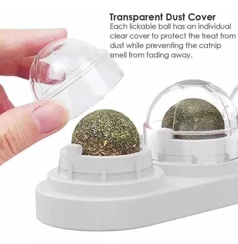 Catnip Para Gatos / HDA Store