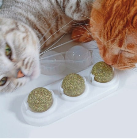 Catnip Para Gatos / HDA Store