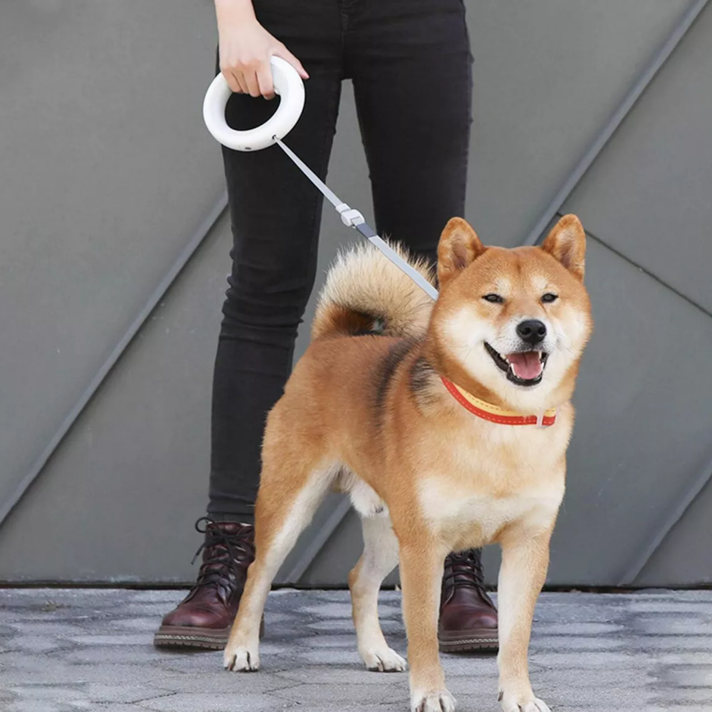 Correa Retráctil para Mascotas / HDA Store