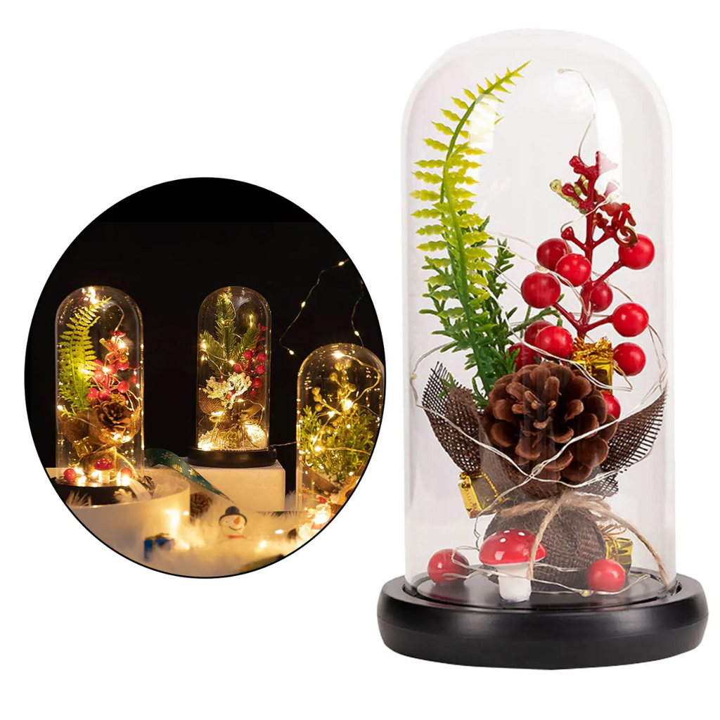 Piñón de Navidad en Cúpula de Cristal / HDA Store