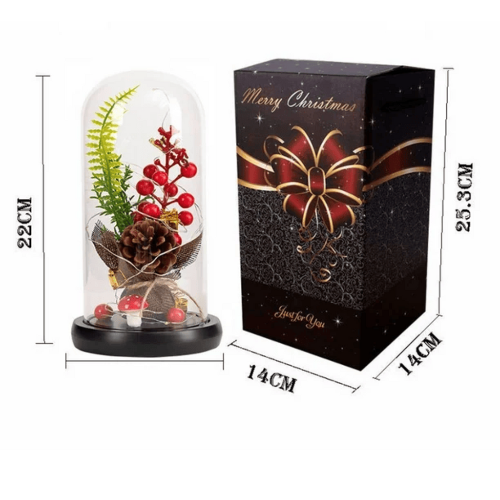 Piñón de Navidad en Cúpula de Cristal / HDA Store